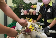 Hỏa táng thú cưng Trọn Tình | Đón bé tận nhà 24/7