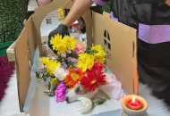 Thú Cưng Chết Nên Làm Gì? Hướng Dẫn Đầy Đủ Cho Sen