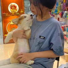 CHƠI CÙNG PET YÊU