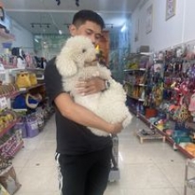 PET ĐƯỢC BẾ NÈ