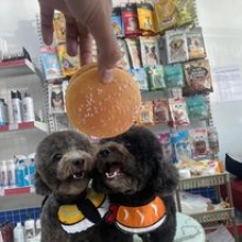 PET ĐƯỢC CHO ĂN