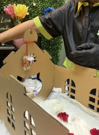 Mùng 1 Chó Bị Chết Có Sao Không? Giải đáp chi tiết